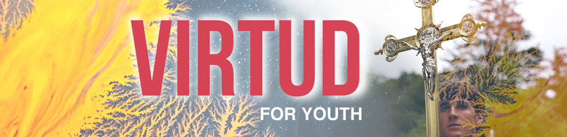 Banner categoria VFY